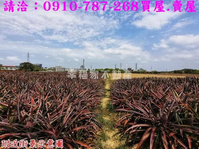 台南關廟農地-11