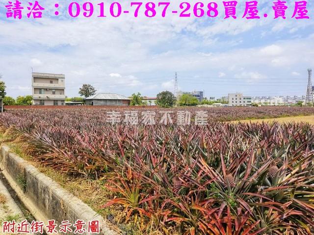 台南關廟農地-6