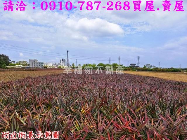 台南關廟農地-9