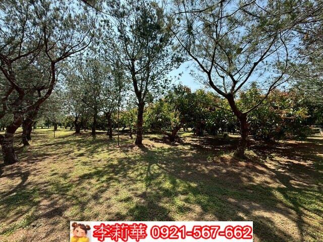 台南玉井農地-10