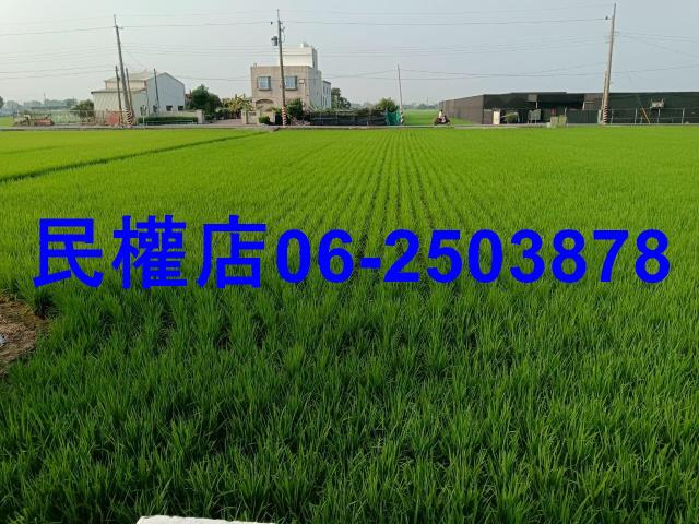 台南六甲農地-11