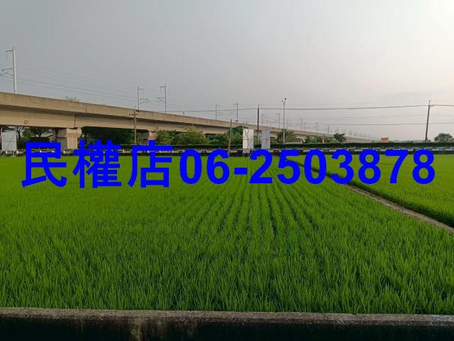 台南六甲農地-1