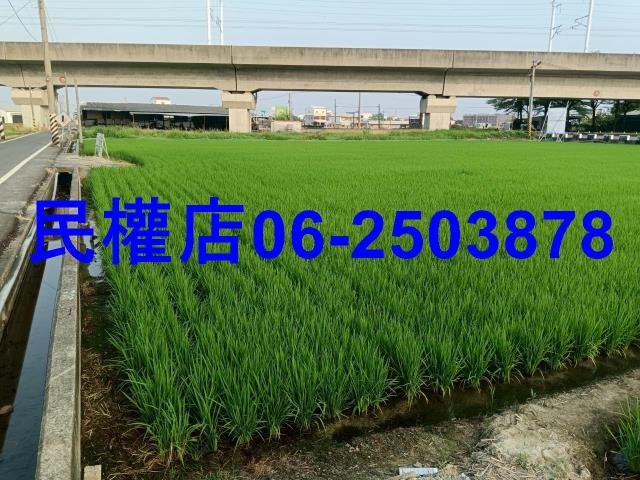 台南六甲農地-2