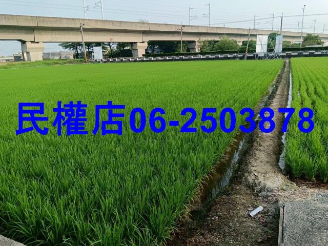 台南六甲農地-3