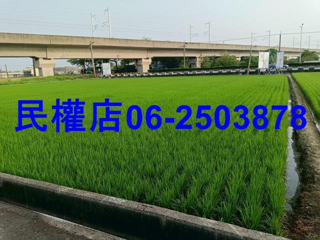 台南六甲農地-5