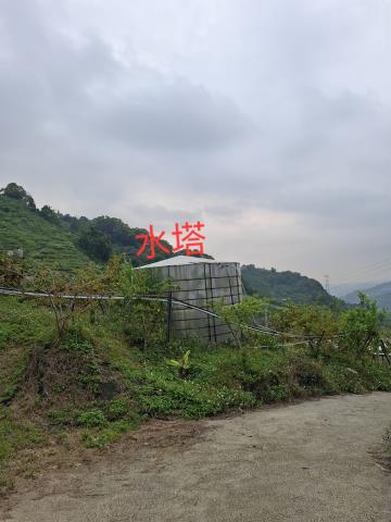 東勢農地-12