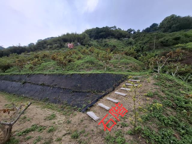 東勢農地-3