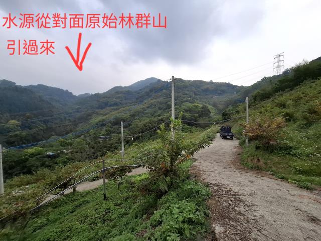 東勢農地-8