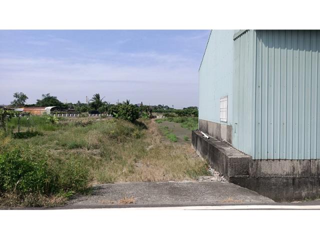 新市農地-11