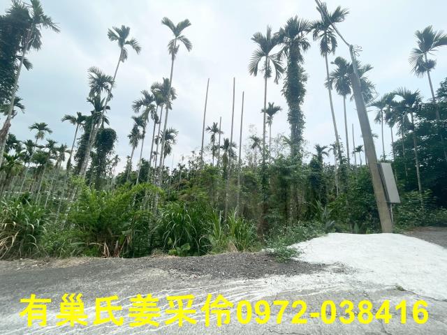 嘉義農地-10