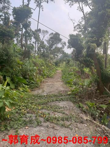 中埔農地-1
