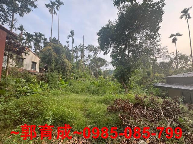 中埔農地-2