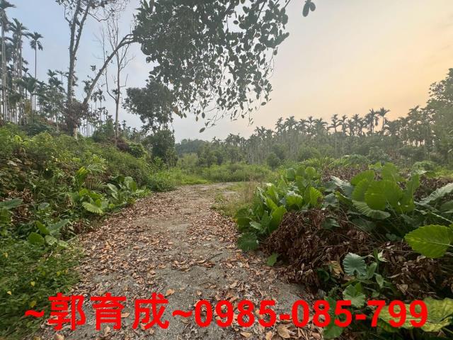 中埔農地-4