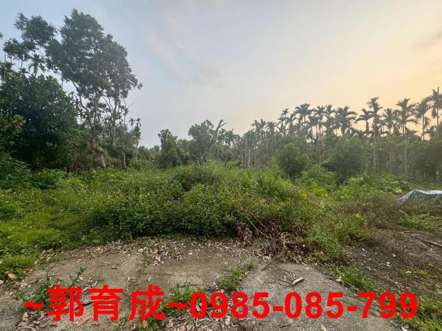 中埔農地-6