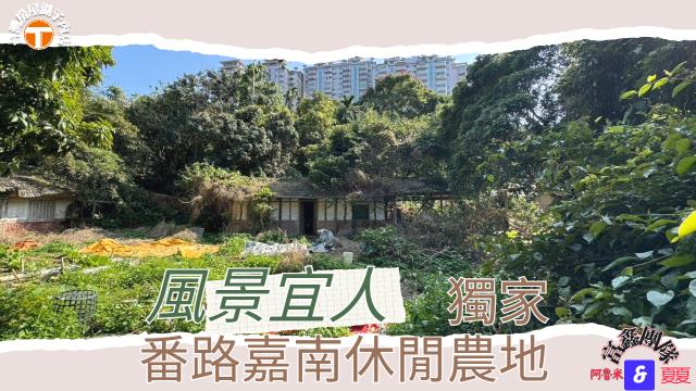 番路農地-1