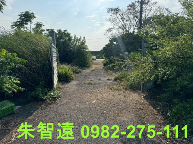 安南農地-15