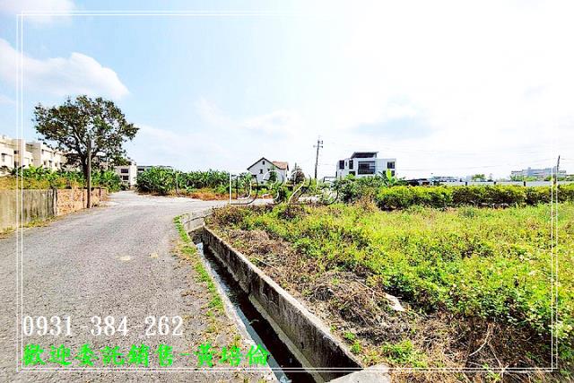 591黃培倫591