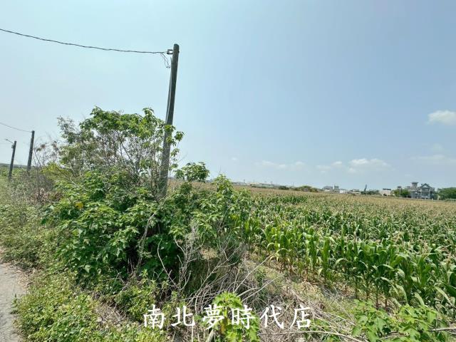 台南農地-3