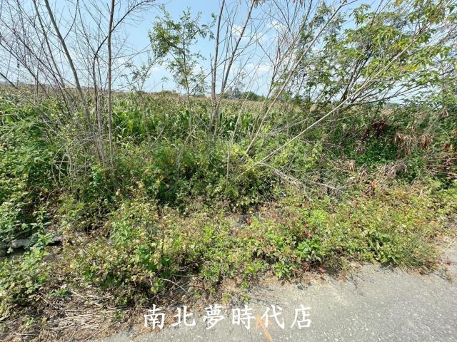 台南農地-4
