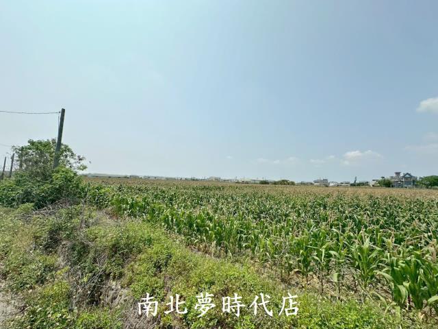 台南農地-6