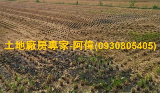 高雄大寮農地-1