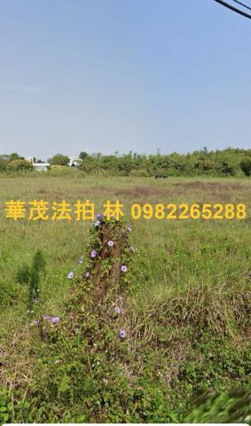 台南白河農牧用地法拍-3