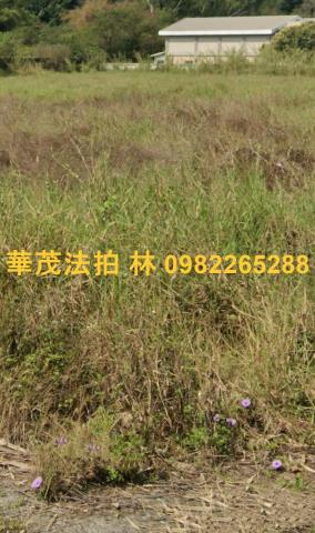 台南白河農牧用地法拍-10