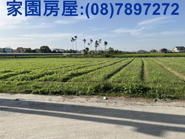 屏東萬丹農地-5