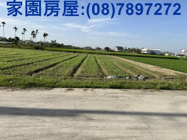 屏東萬丹農地-6