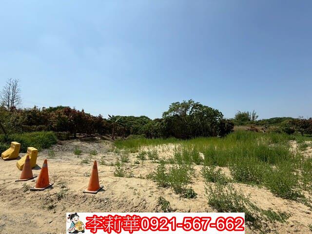 台南新化農地-2