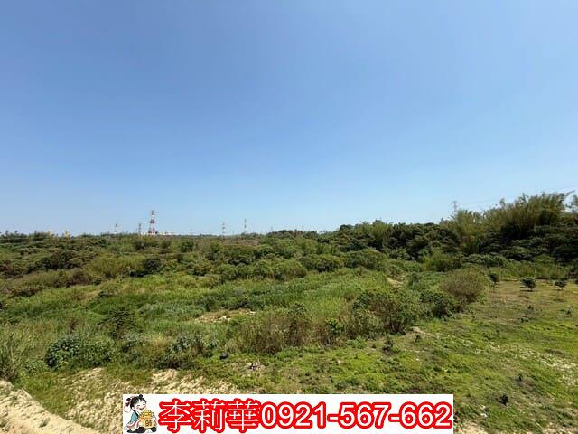 台南新化農地-4
