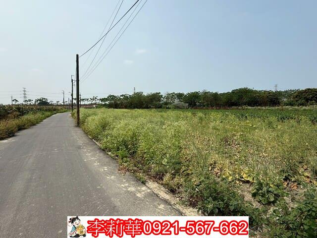 仁德農地-2