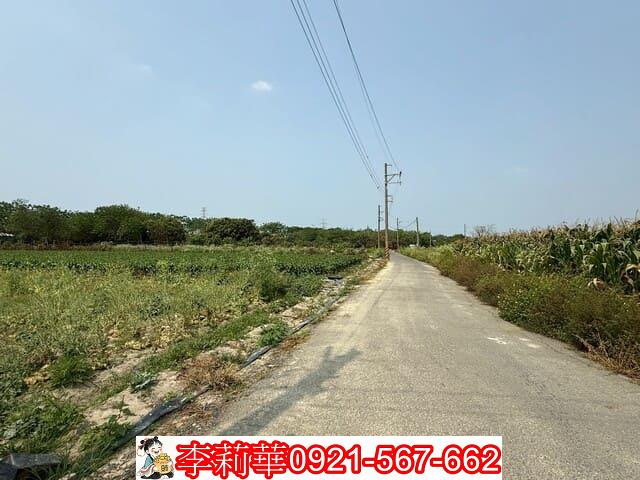 仁德農地-3