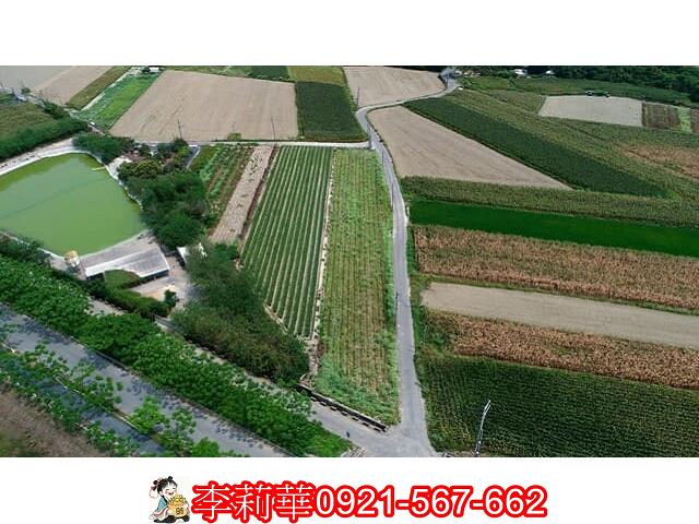 仁德農地-6