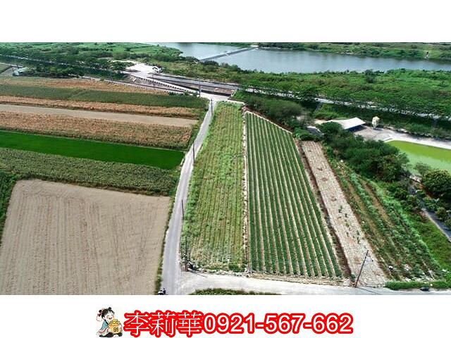 仁德農地-7