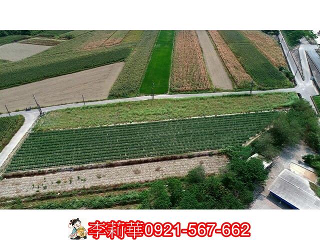 仁德農地-9