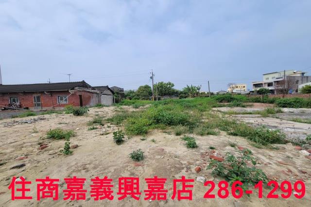 民雄農地-10