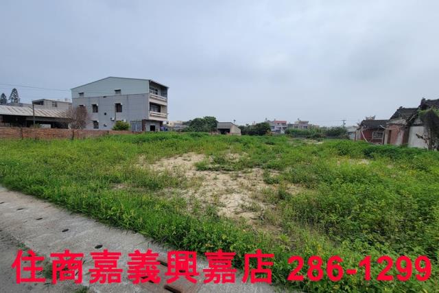 民雄農地-5