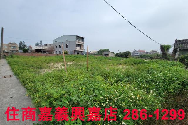 民雄農地-6