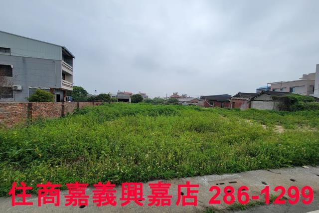 民雄農地-7