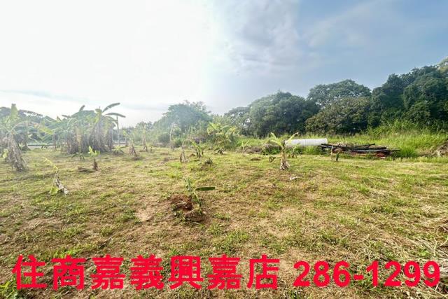 東區農地-5
