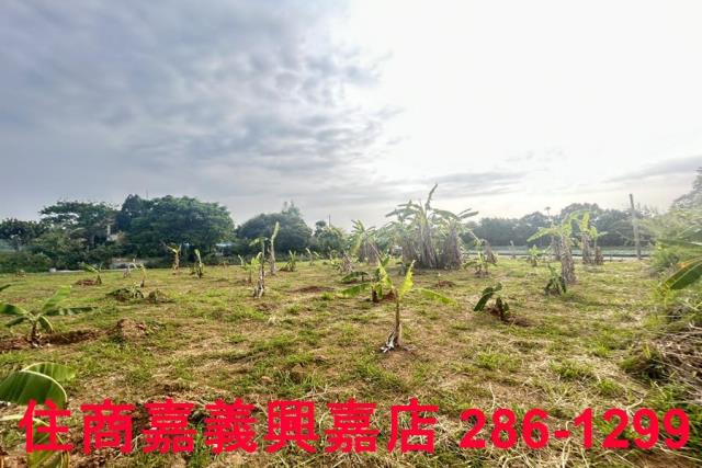 東區農地-6