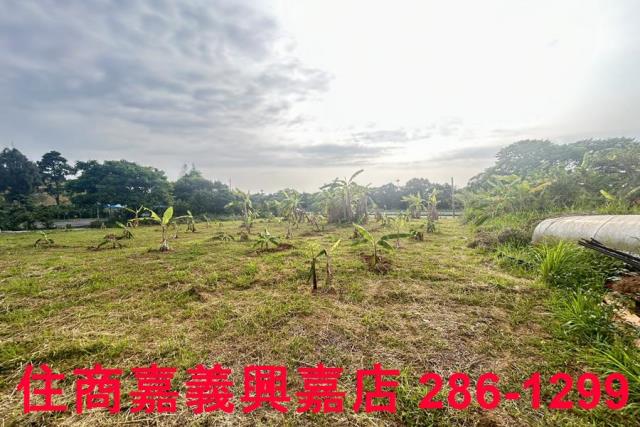 東區農地-7