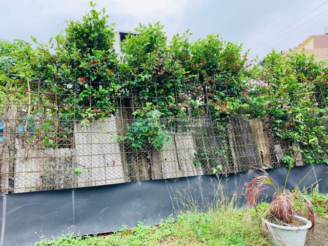 水上建地-5