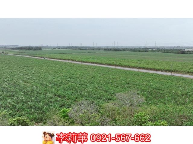 台南農地-10