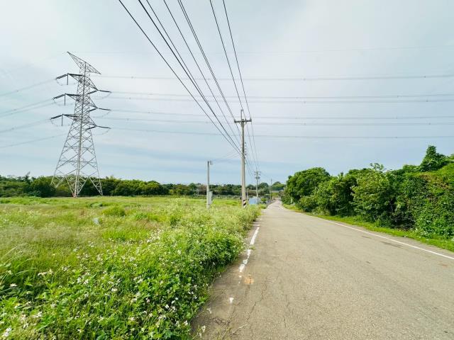 龍井保護地-2