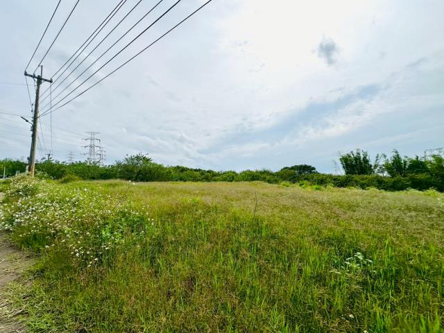 龍井保護地-4