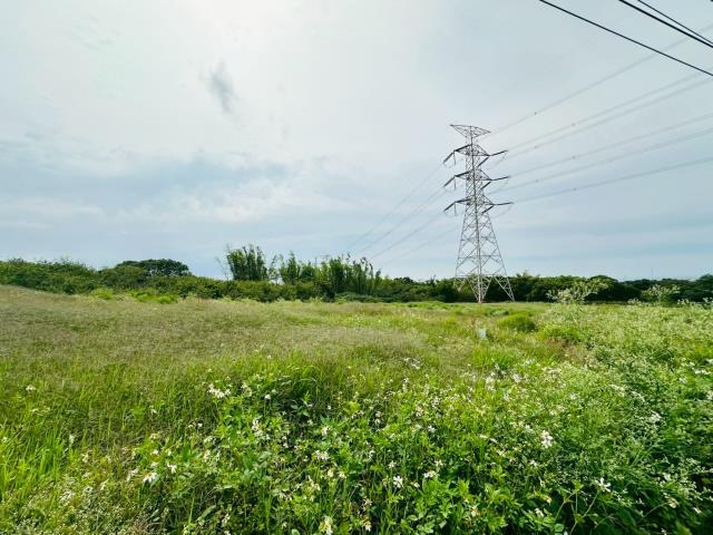 龍井保護地-5