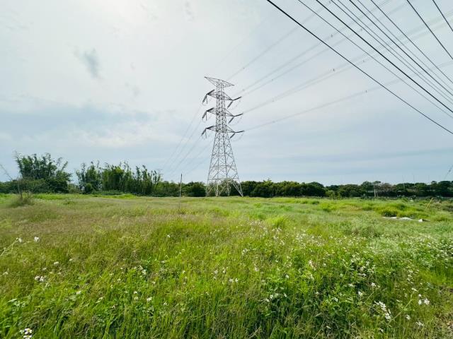 龍井保護地-6