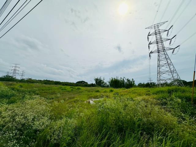 龍井保護地-8